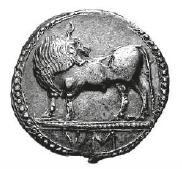 terra di safnio-storia